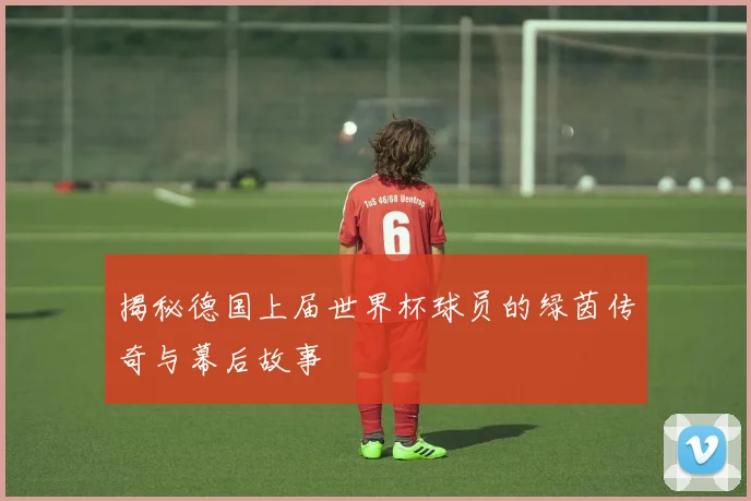 揭秘德国上届世界杯球员的绿茵传奇与幕后故事