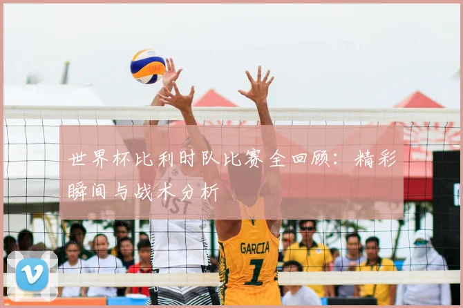 世界杯比利时队比赛全回顾：精彩瞬间与战术分析