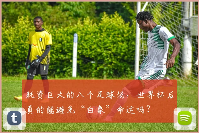 耗资巨大的八个足球场，世界杯后真的能避免“白象”命运吗？