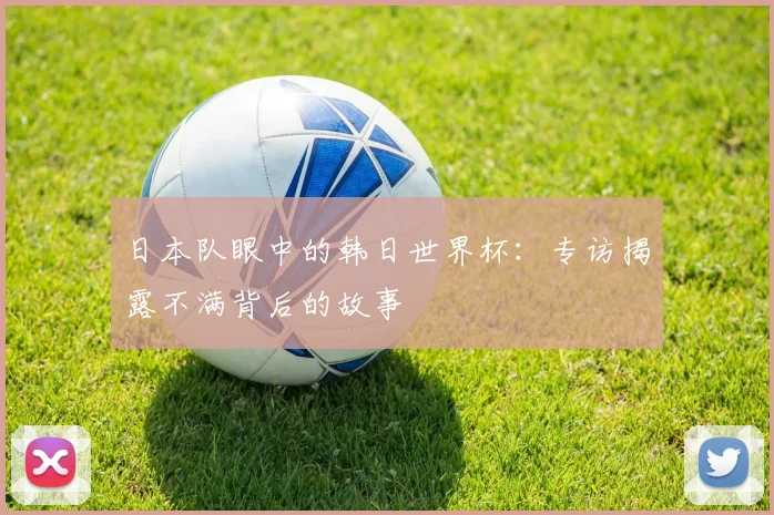日本队眼中的韩日世界杯：专访揭露不满背后的故事