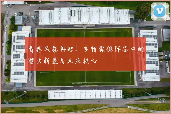 青春风暴再起！多特蒙德阵容中的潜力新星与未来核心